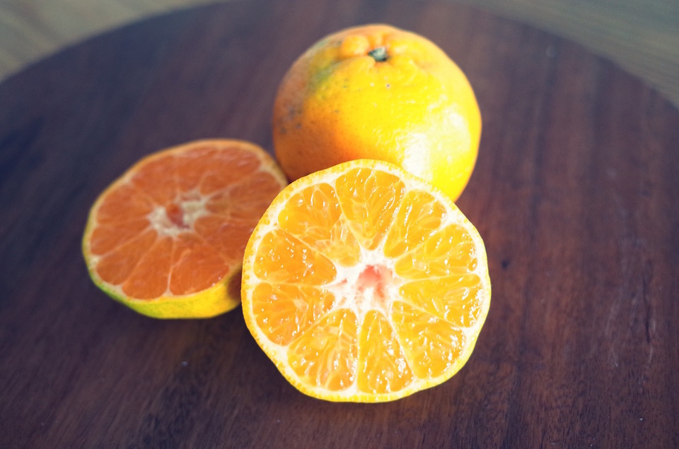 無選別）甘みも酸味もたっぷり 屋久島ポンカン ミミズ果樹園 (鹿児島県