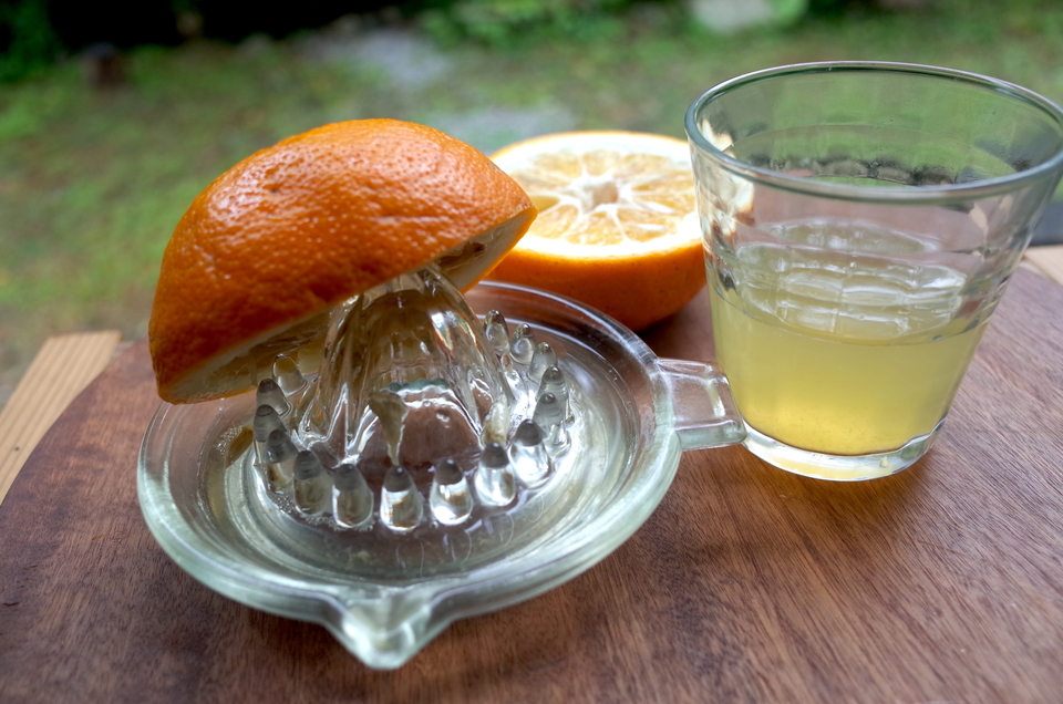 【柑橘好きの方へ】農薬不使用・屋久島産　柑橘５種食べくらべセット（ご家庭用・約5kg）