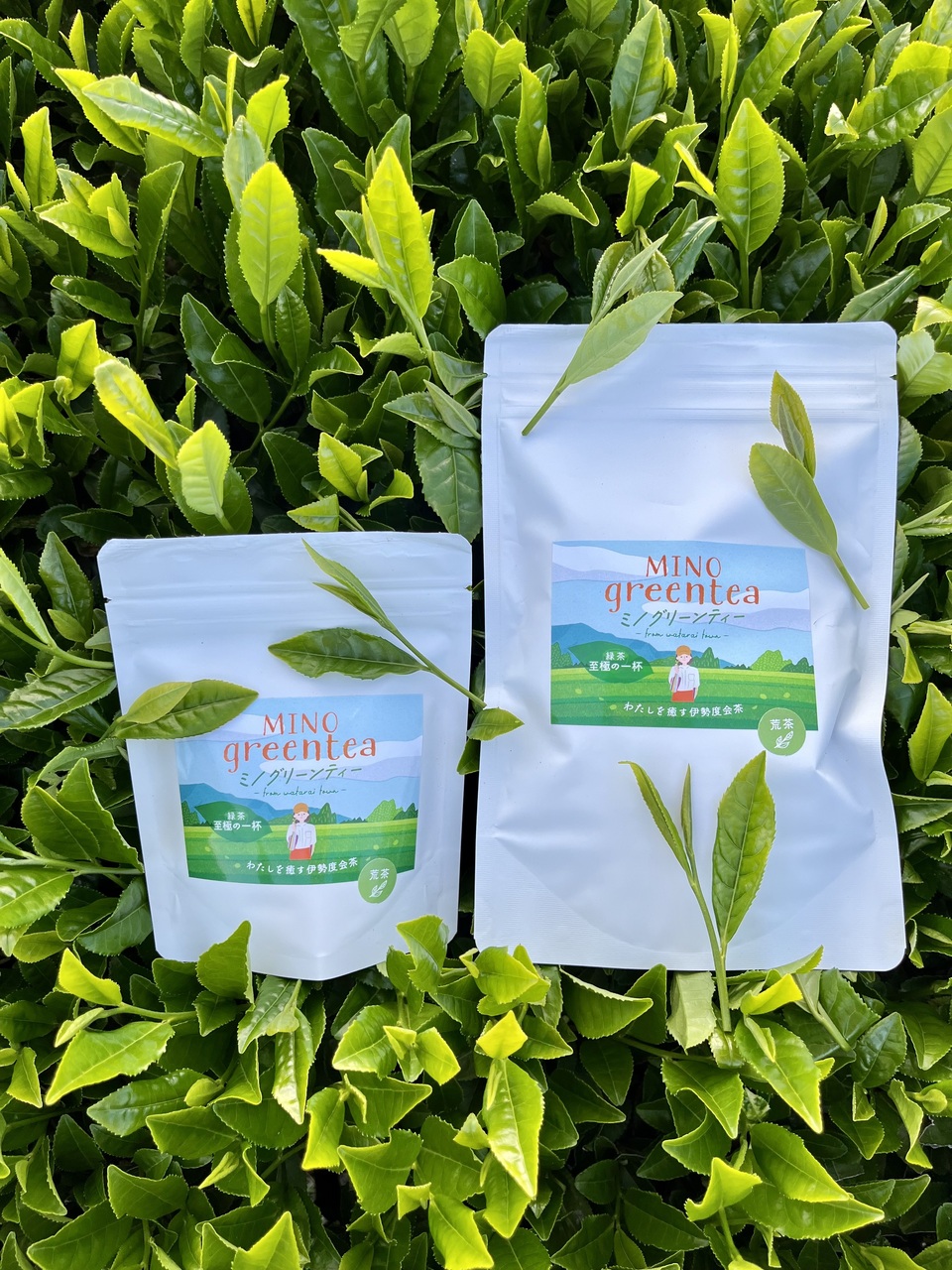 2026年新茶 煎茶<至極の一杯>(荒茶)リーフ 期間限定販売