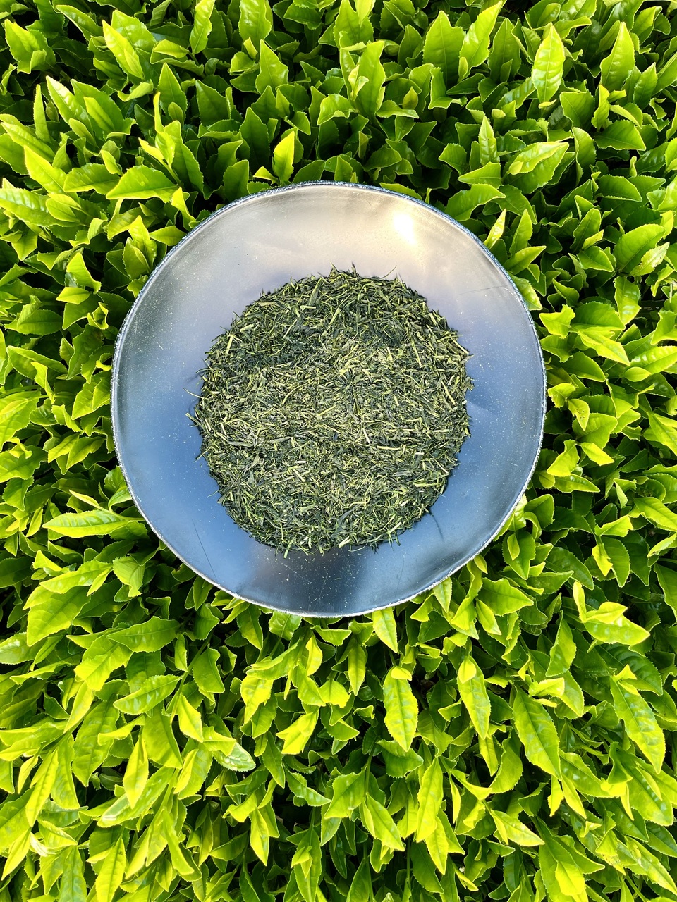 2026年新茶 煎茶<至極の一杯>(荒茶)リーフ 期間限定販売