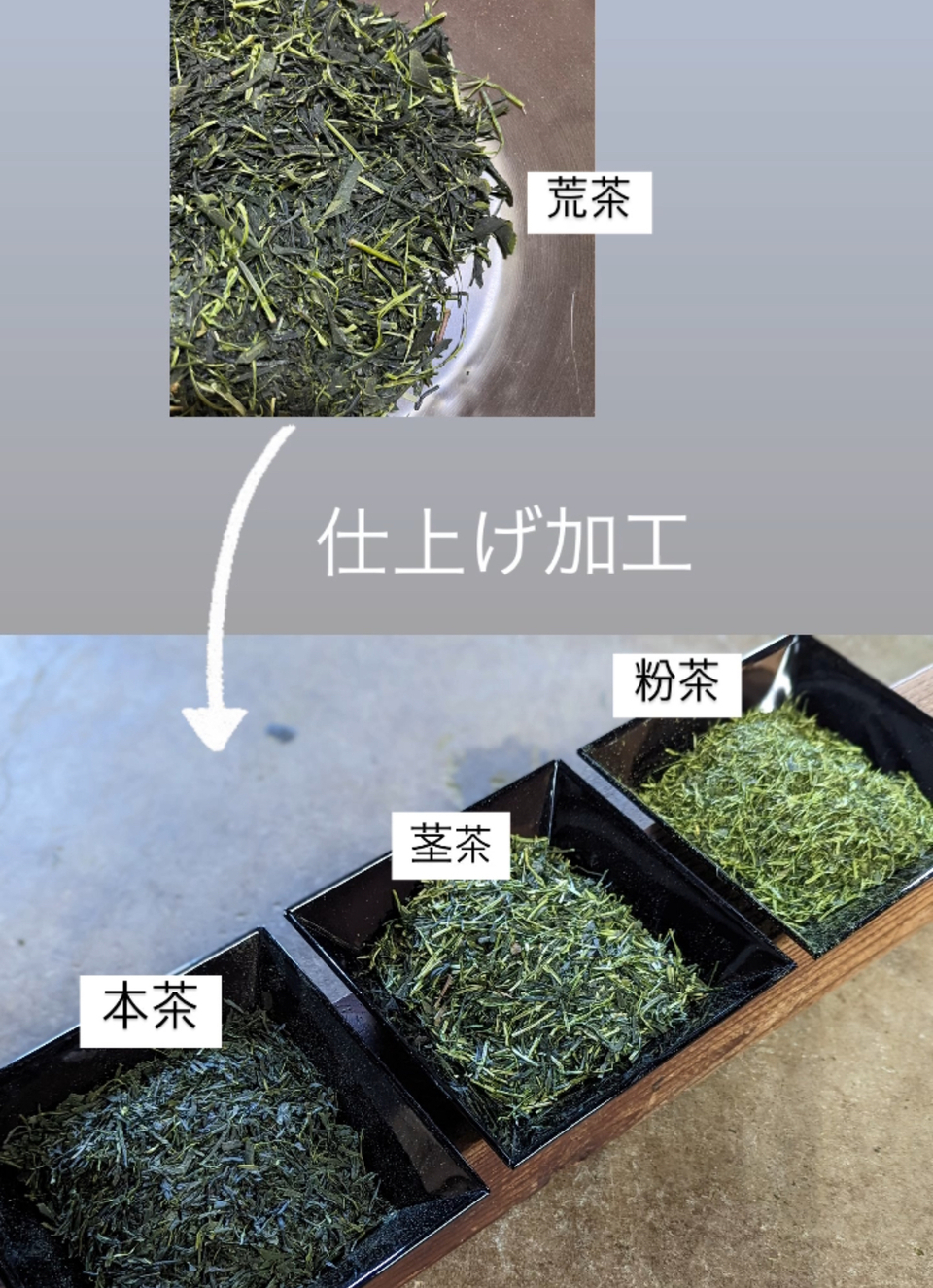 2026年新茶 在来種 煎茶<至極の一杯>リーフ ティーバッグ