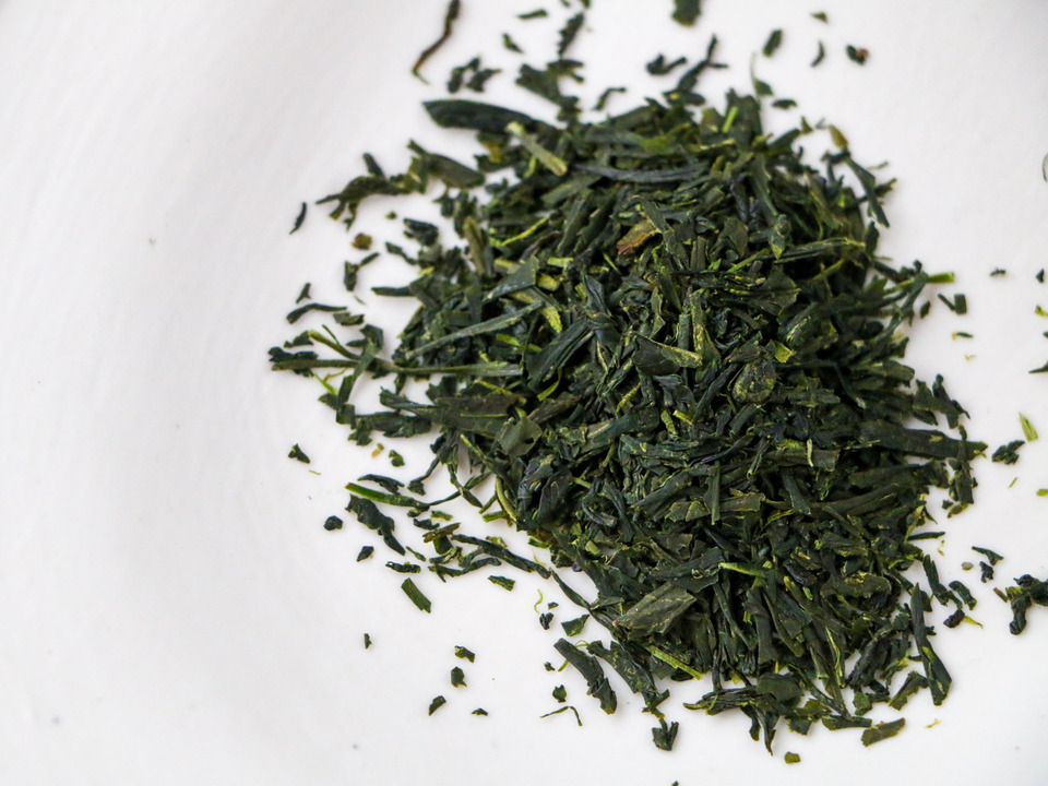 【ティーバッグ3種箱入りギフト】有機栽培・伊勢度会茶 煎茶、玄米茶、ほうじ茶 ティーバッグ