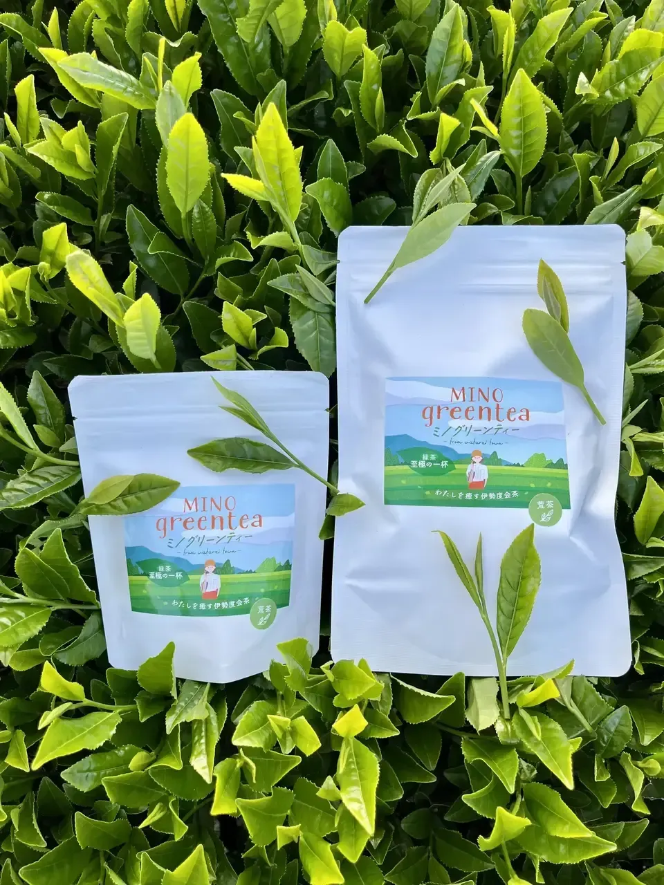 【母の日】新茶ギフト お茶いっぱいセット　農薬・化学肥料を使わず育てた2026年産の新茶（荒茶）詰め合わせ