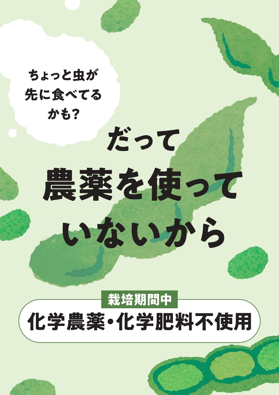 農薬・化学肥料不使用＜MITSU枝豆＞旬の採れたての香りをそのまま枝付きで！