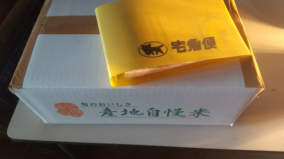 Mayu☆令和6年度ササニシキ天日干し米20kg玄米 ササニシキ 米 お米 令和6年産 5kg 玄米 宮城 登米 特別栽培米