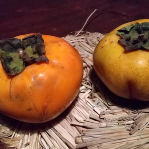 柿商品一覧 | 無添加・無農薬の食品ネット通販 - たべるとくらすと