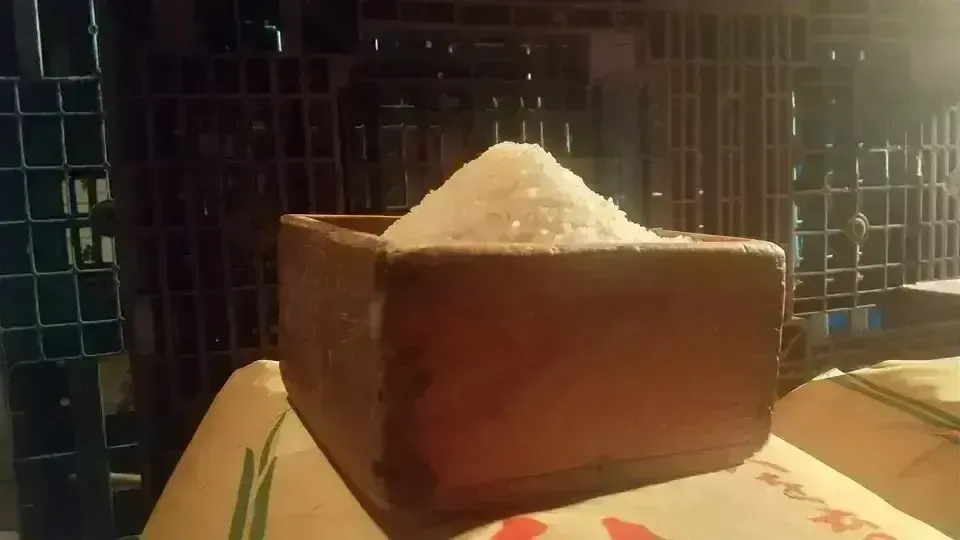 令和7年度産】 天日干し・自然栽培「亀の尾」秋田県産 宮入農場 (秋田