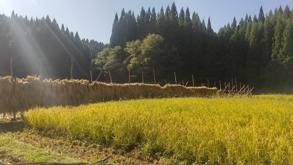 宮入農場メイン画像