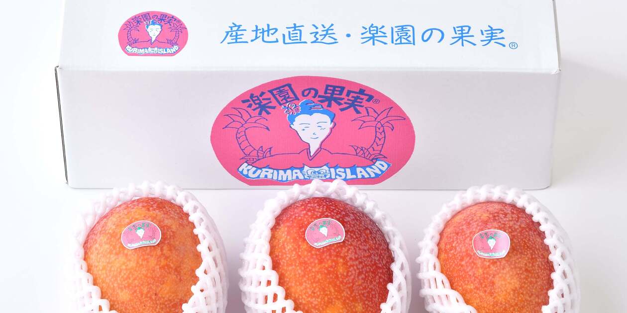 ネズミちゃん！宮古島産摘果マンゴー　8キロ ネズミちゃん様専用！宮古島産摘果マンゴー 8キロ - メルカリ