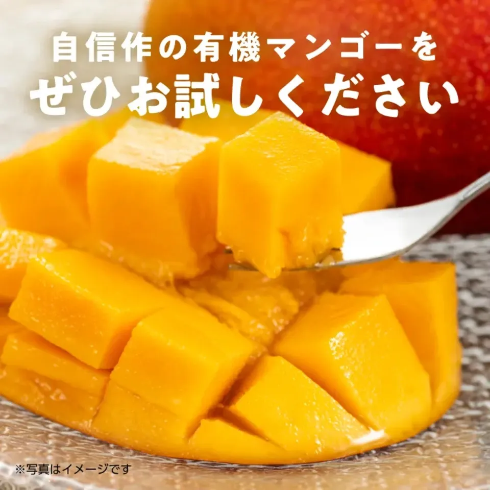 〈箔押し化粧箱〉贈り物におすすめ|有機マンゴー