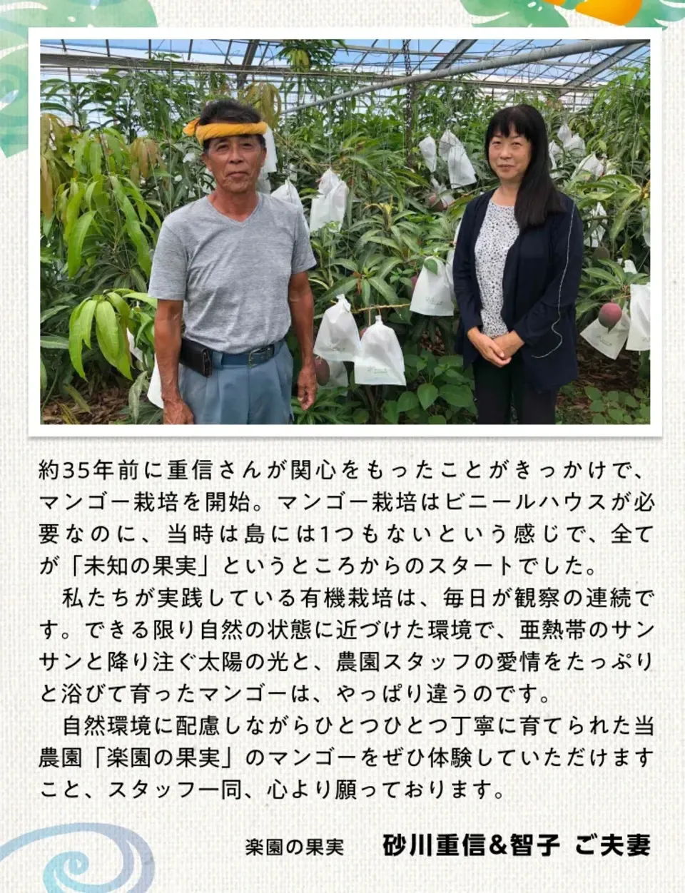 〈箔押し化粧箱〉贈り物におすすめ|有機マンゴー