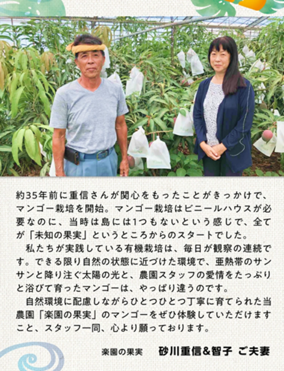 贈り物・ご自宅用におすすめ|有機マンゴー