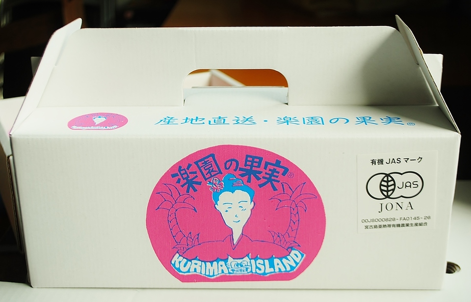 3《無農薬・数量限定・期間限定》宮古島産ピンポンマンゴー約3㎏