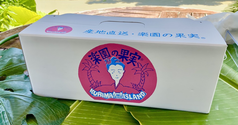 贈り物・ご自宅用におすすめ|有機マンゴー