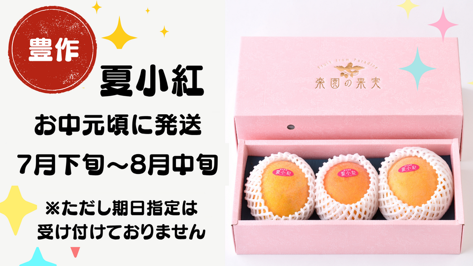 宮古島産 有機マンゴー『夏小紅』《贈答用》1kg(2~3玉)