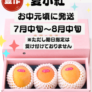 マンゴー商品一覧 | 無添加・無農薬の食品ネット通販 - たべると