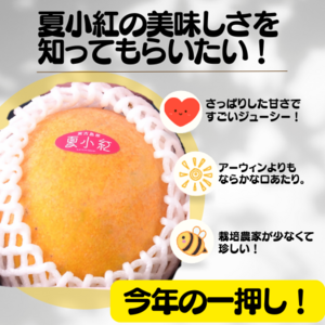 贈り物・ご自宅用に｜ぜひ食べてみてほしい！夏小紅1kg（2玉～4玉） のレビュー