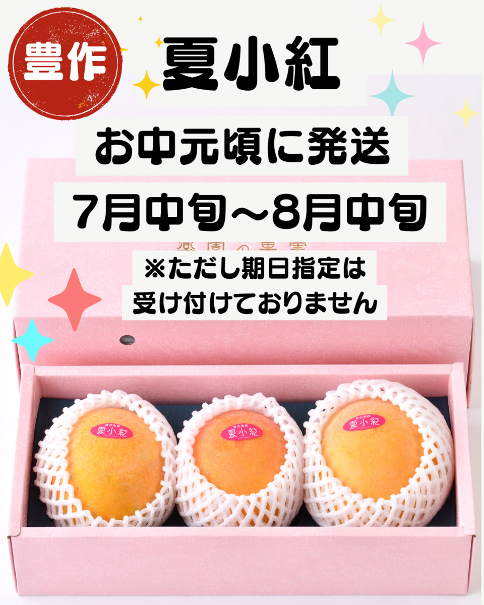 宮古島産 有機マンゴー『夏小紅』《贈答用》1kg（2～3玉） 宮古島未来