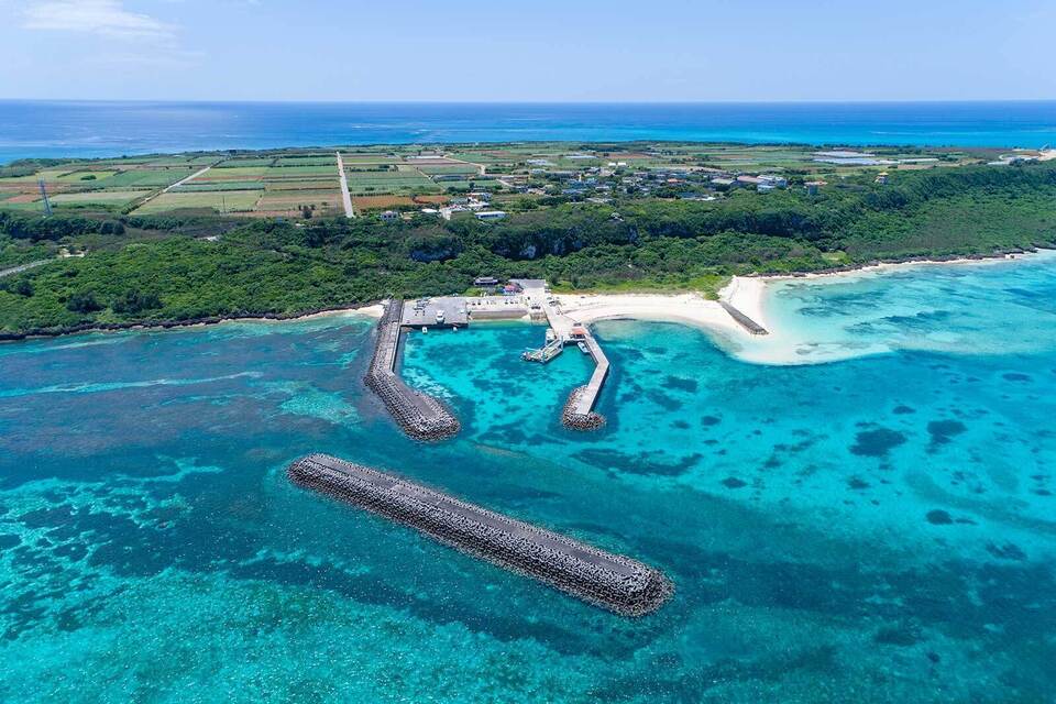 採れたて宮古島産ゴーヤー＊ オキナワンイーツ