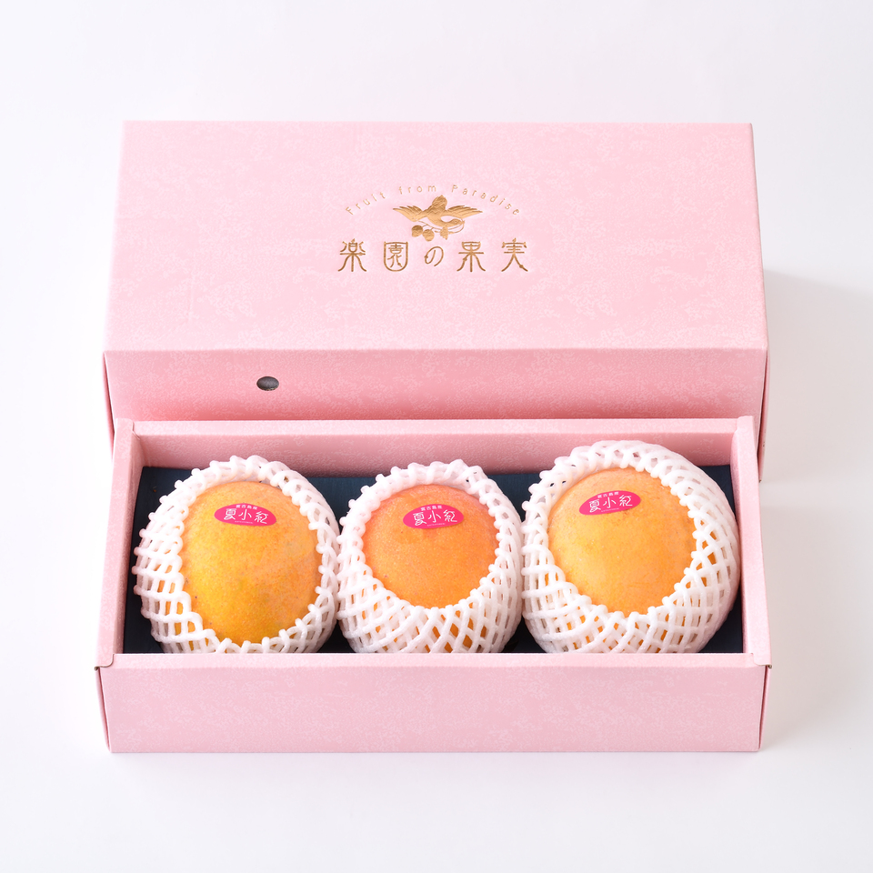 ☆mana92【お祝いの赤い花と青い壺】【キャメル色】おまとめ品 ☆mana92【お祝いの赤い花と青い壺】【キャメル色】おまとめ品