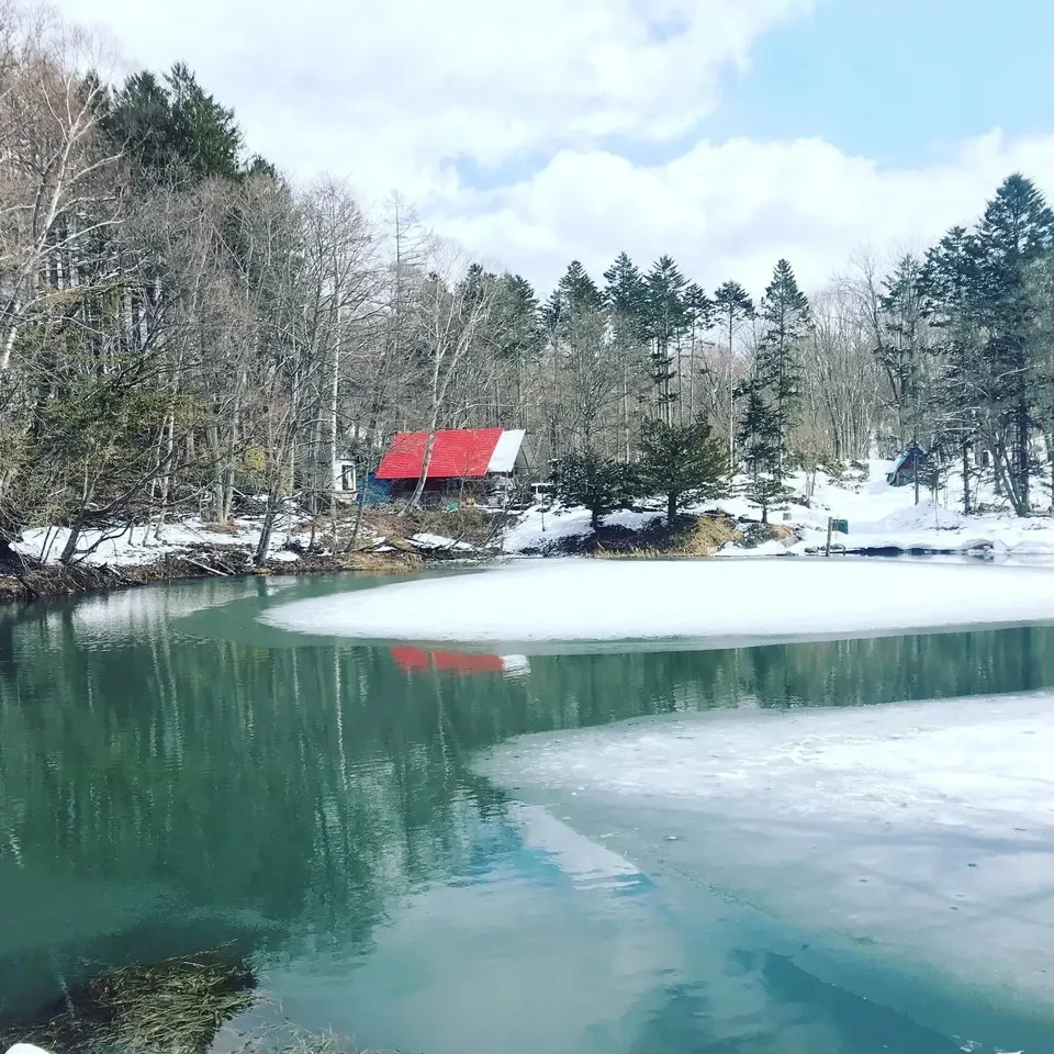 モリーズ北海道ラベンダーポーク＆フランスブルターニュ豚セット