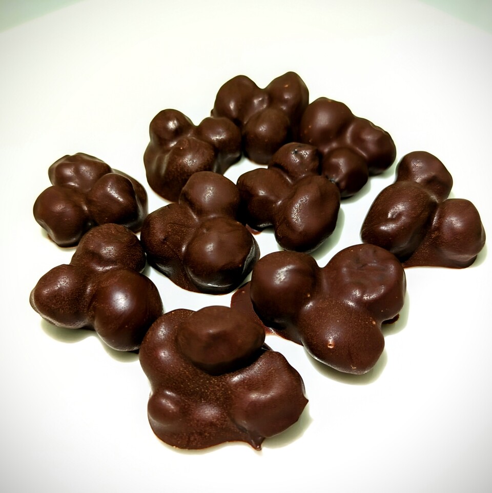 ドライフルーツチョコレート〈いちじく〉〈クランベリー〉