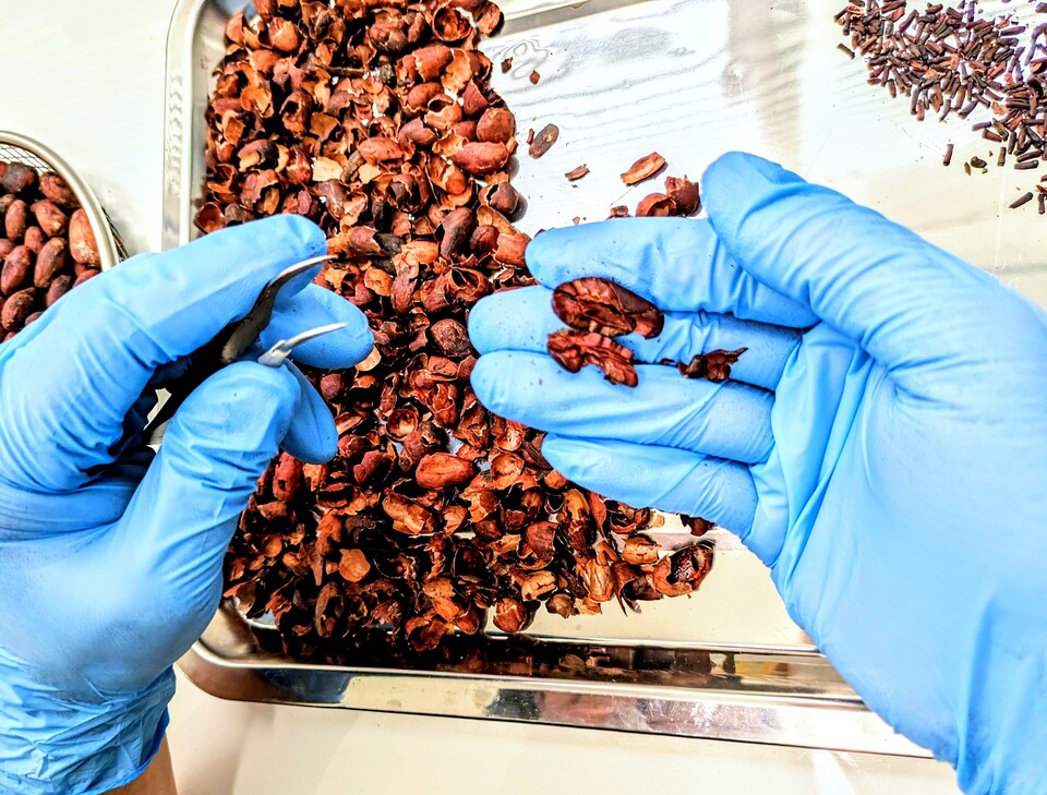 オーガニックカカオニブ＜マダガスカル産カカオ豆＞ More Choco (愛知