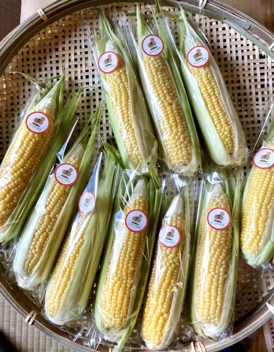 【甘さ自慢】オーガニックとうもろこし