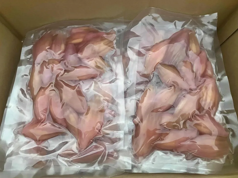 【送料0円~】自然栽培みょうが甘酢漬け 120g【食品添加物不使用】