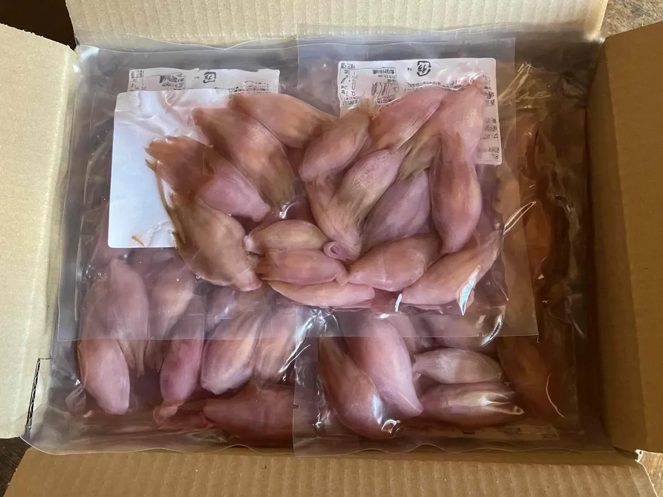 【送料0円~】自然栽培みょうが甘酢漬け 120g【食品添加物不使用】