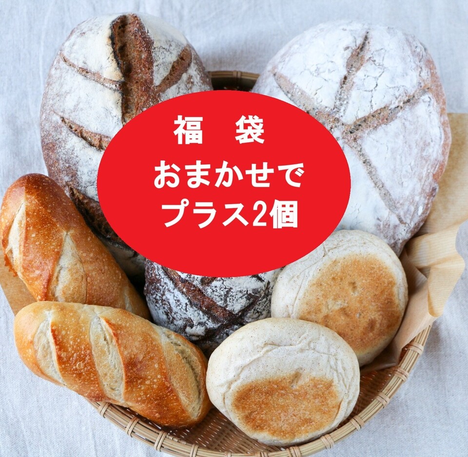 【限定福袋】【2個増量 】信州産小麦パンセット-自家製レーズン酵母とホシノ天然酵母使用-(発送不可地域あります)