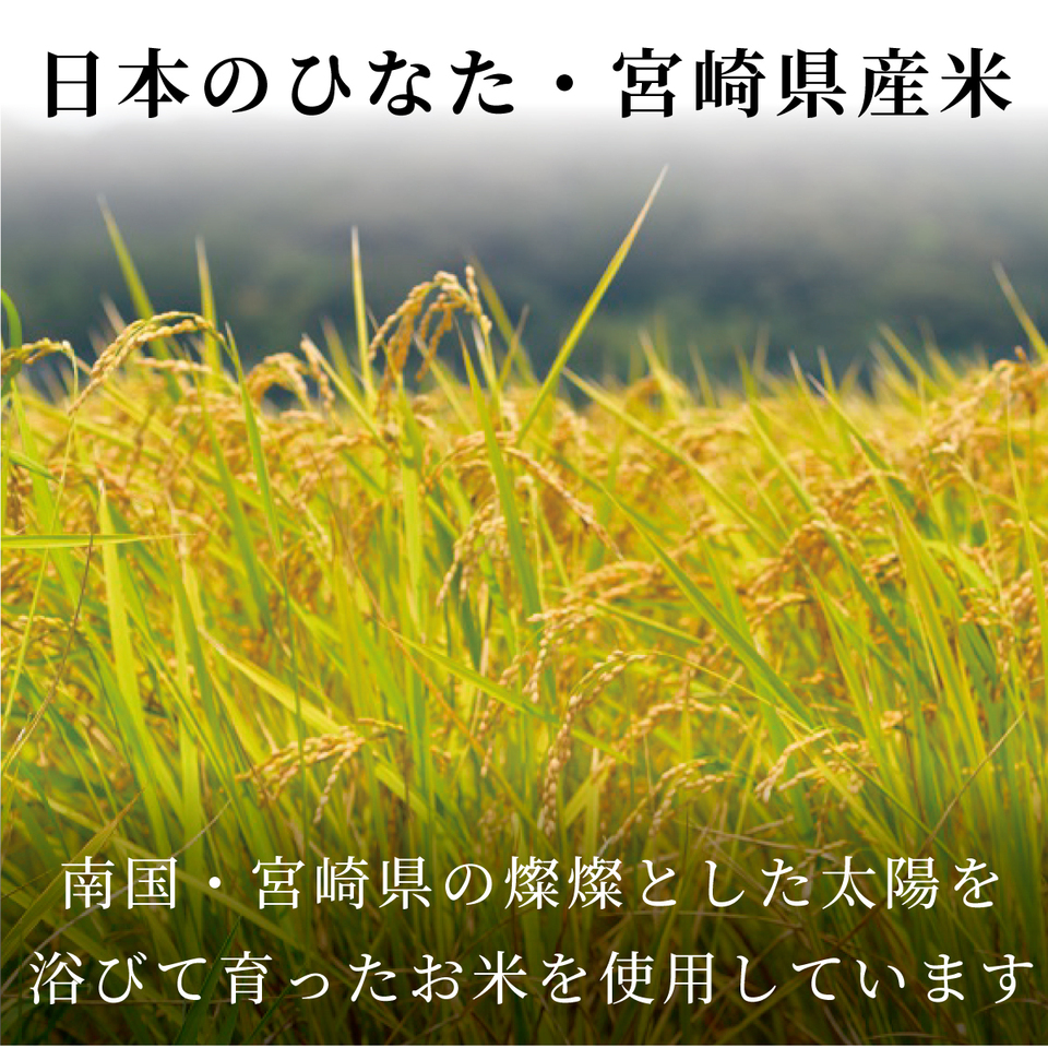 あまざけ+乳酸菌 ちほまろ 500g