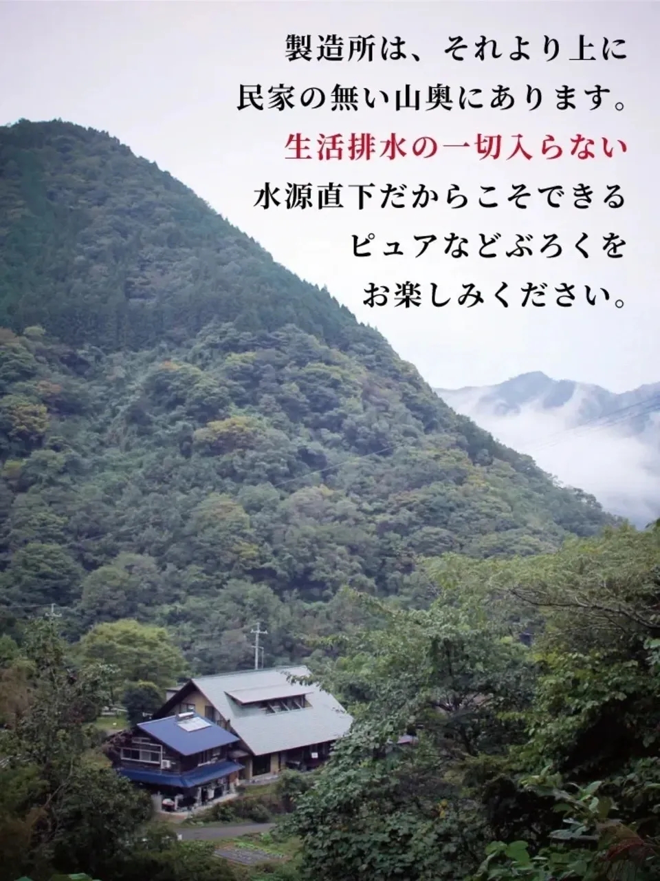 御神水源どぶろく 千穂まいり3種類 飲み比べ 300ml