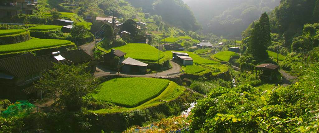 高千穂ムラたびメイン画像