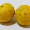 3.5kg(箱重量込み)