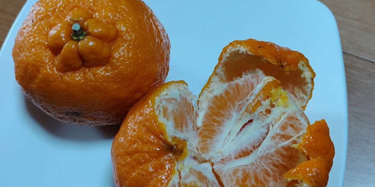 _1260x630_230225071754.jpg