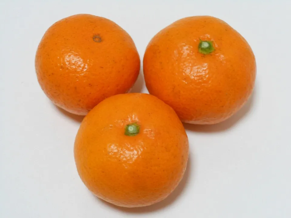 温州みかん 栽培期間中農薬・化学肥料・除草剤不使用 なかい果樹園