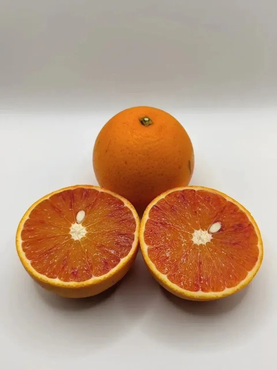 Memex　希少XLJ.PRESSイタリア生地ヘリンボーンダッフルオレンジ ブラッドオレンジ（タロッコ） 自然栽培（農薬不使用・化学肥料不使用