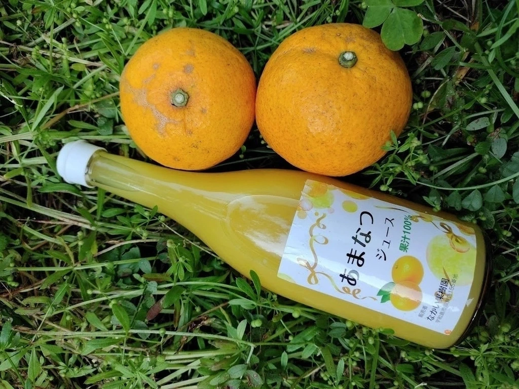 自然栽培 グレープフルーツジュース(720ml)X3本☆無肥料・無農薬☆無