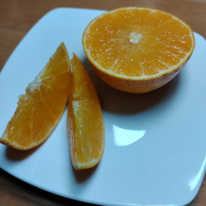 パール柑Ｌ20kg生産者直送、農薬・化学肥料不使用❣️ パール柑の通販｜文旦｜食べチョク｜産地直送(産直)お取り寄せ