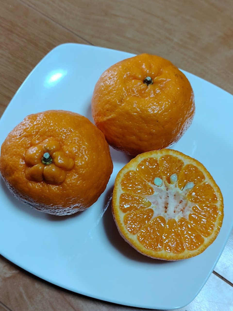 ポンカン 自然栽培（農薬不使用・化学肥料不使用・除草剤不使用