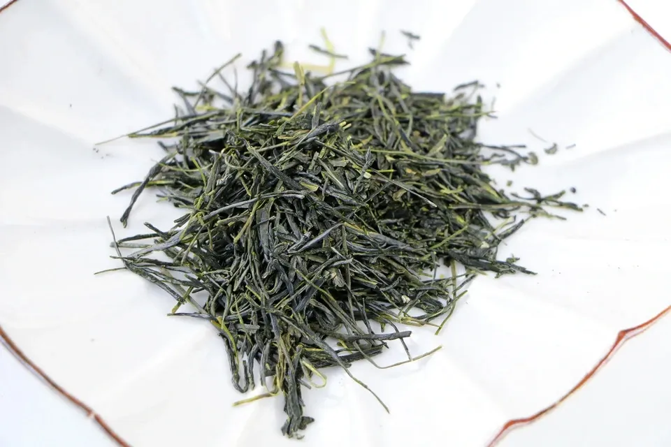 《新茶》2026年初摘み新茶　京都府和束町、農薬不使用栽培