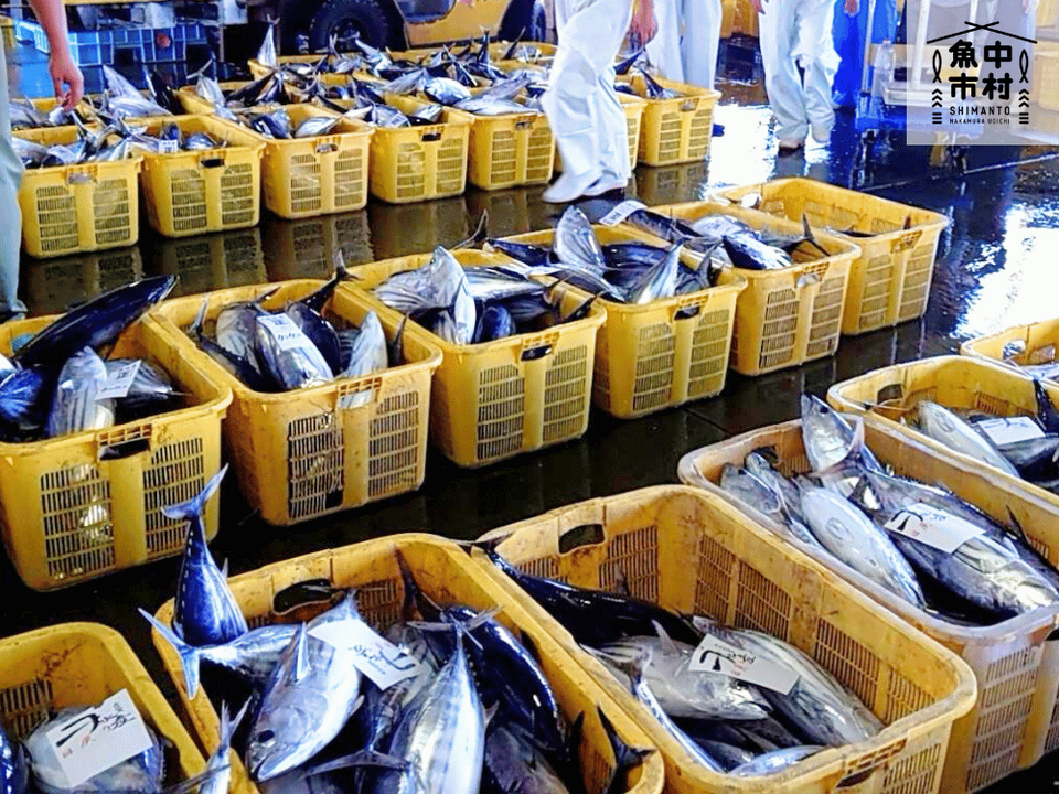 【ギフトにも】単品│市場直送│高知県しまんと│季節の天然魚 醤油漬け(冷凍)│砂糖・化学調味料不使用│原材料:四季の魚、醤油、みりん、酒│熨斗無料