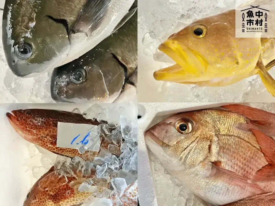 【ギフトにも】単品│市場直送│高知県しまんと│季節の天然魚 醤油漬け(冷凍)│砂糖・化学調味料不使用│原材料:四季の魚、醤油、みりん、酒│熨斗無料