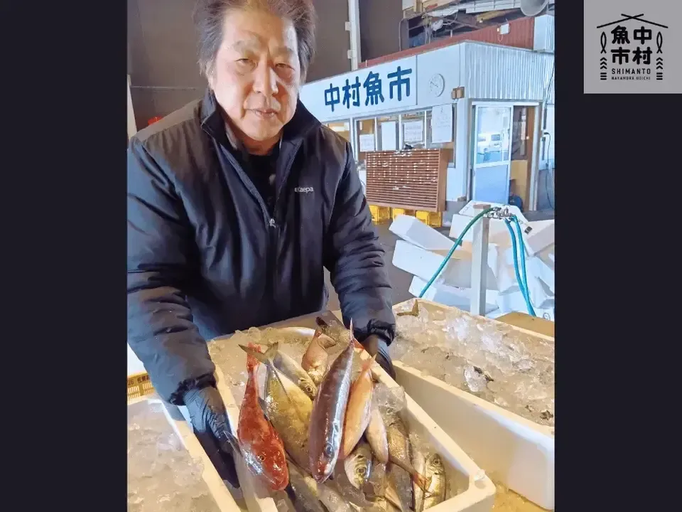 【ギフトにも】単品│市場直送│高知県しまんと│カツオ藁焼き 生姜醤油漬け(冷凍)│原材料:カツオ、醤油、みりん、酒、生姜のみ│熨斗無料