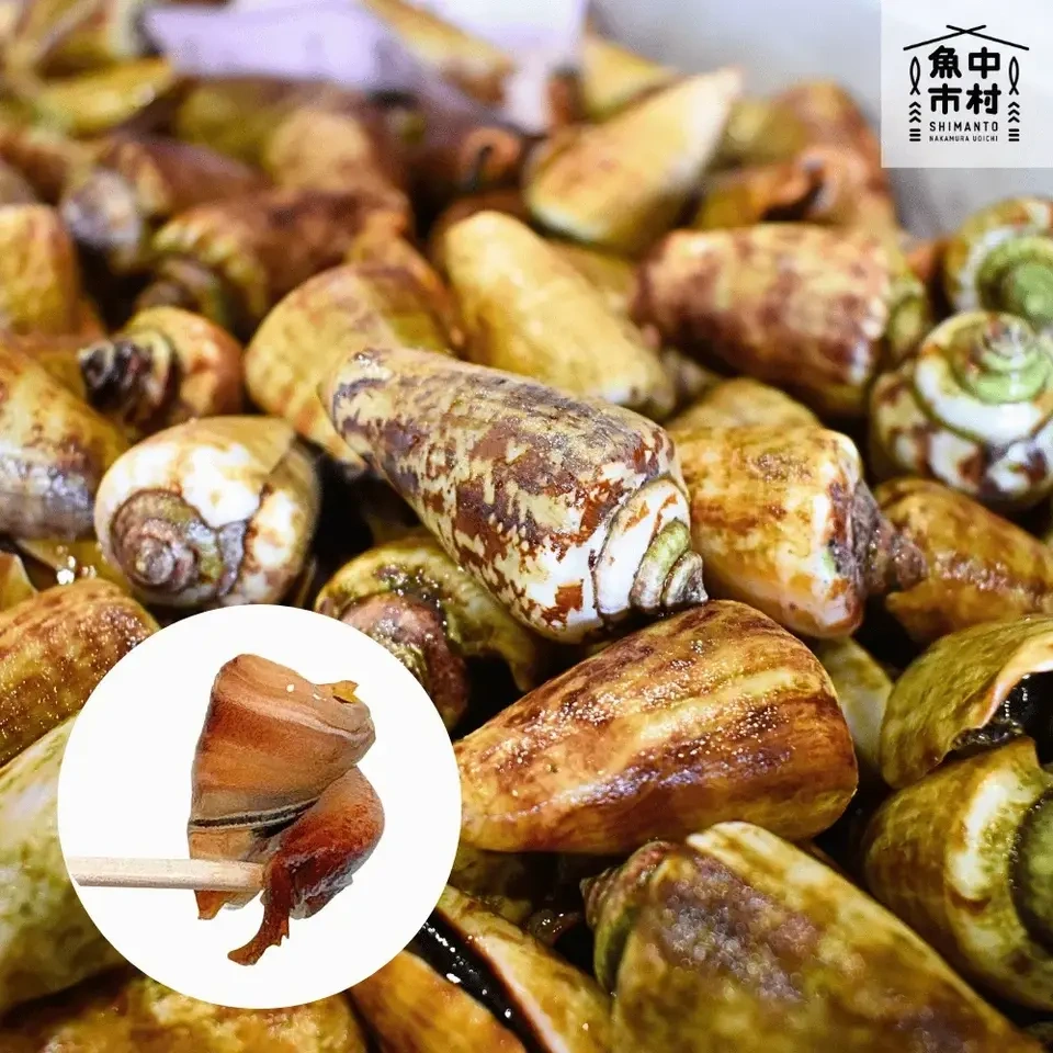 新商品【ギフトにも】単品│市場直送│高知県しまんと│チャンバラ貝(冷凍)│原材料:チャンバラ貝(高知県産)│熨斗無料