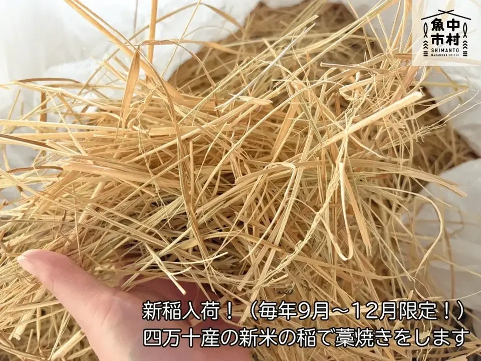 【ギフトにも】単品│市場直送│高知県しまんと│カツオの藁焼き塩たたき(塩ポン酢・醤油ポン酢)│化学調味料不使用・砂糖不使用│熨斗無料