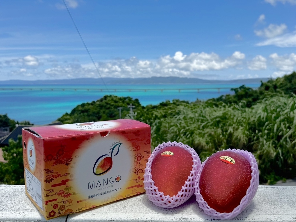 中山マンゴー園の通販 - たべるとくらすと