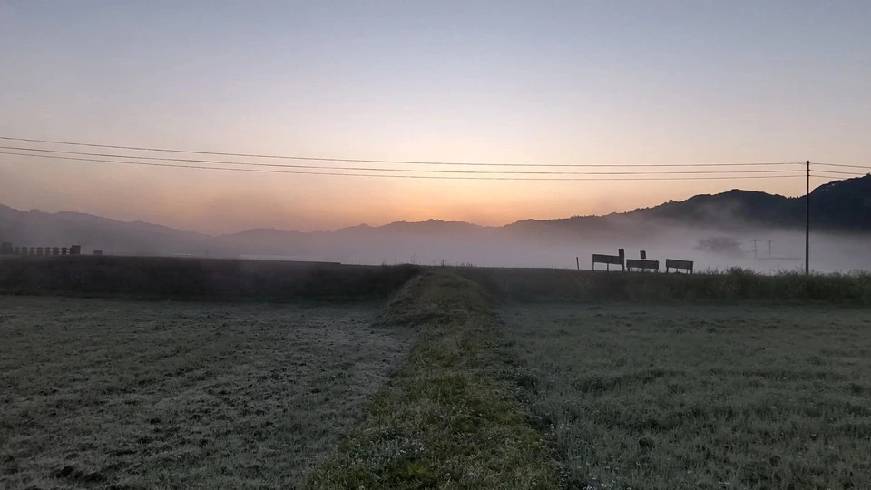 【新米】令和8年産 自家採種の自然栽培米<ヒノヒカリ>鹿児島県日置市産(薩摩半島)