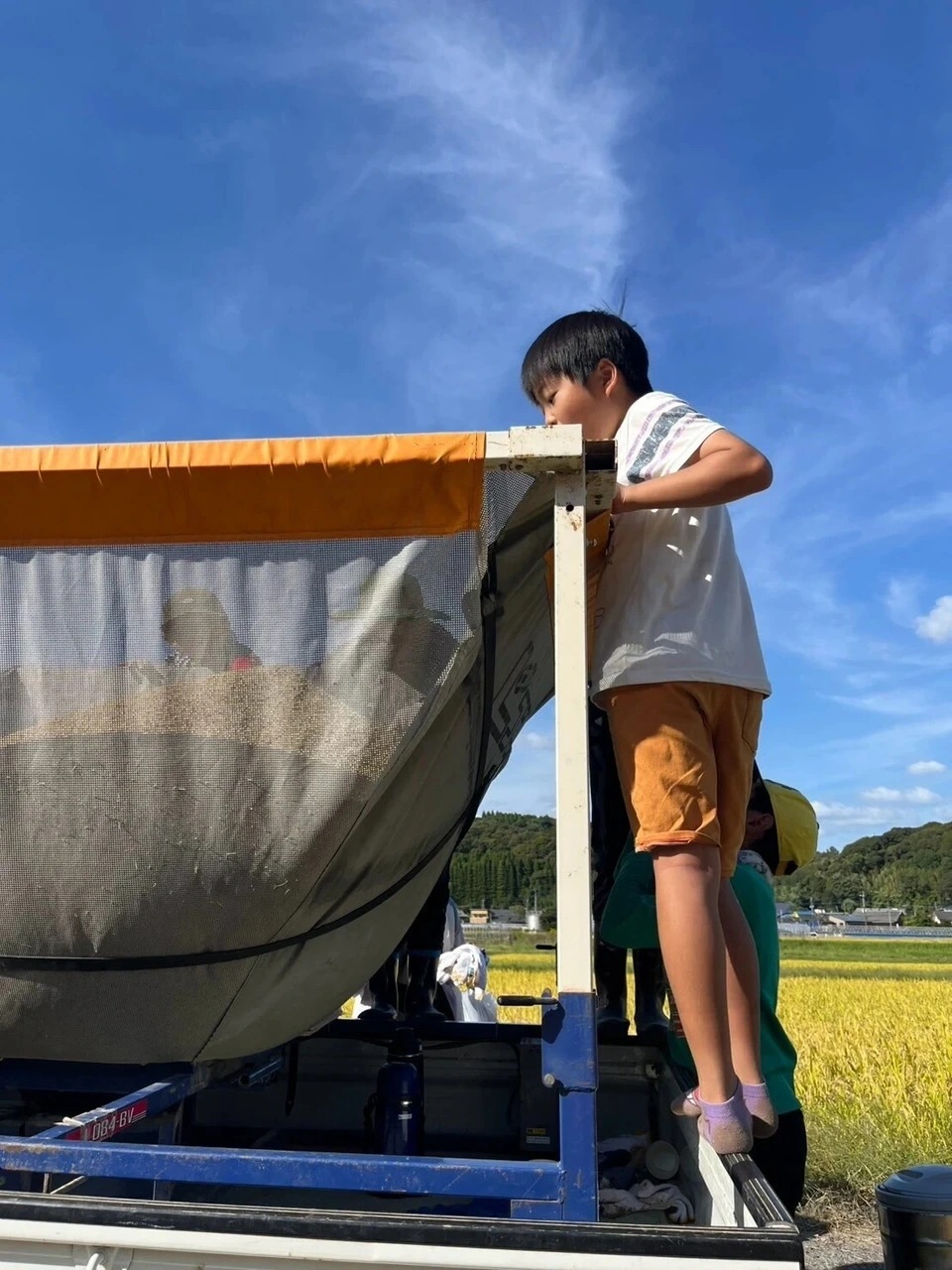【新米】令和8年産 自然栽培米<あきほなみ>鹿児島県日置市産(薩摩半島)